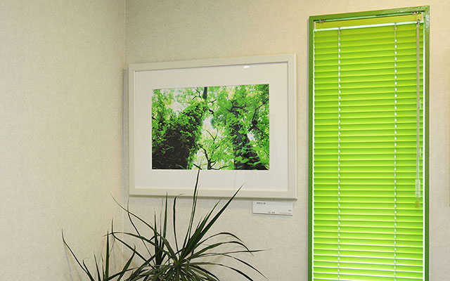 診療室の壁面にはプロの写真を飾っています。